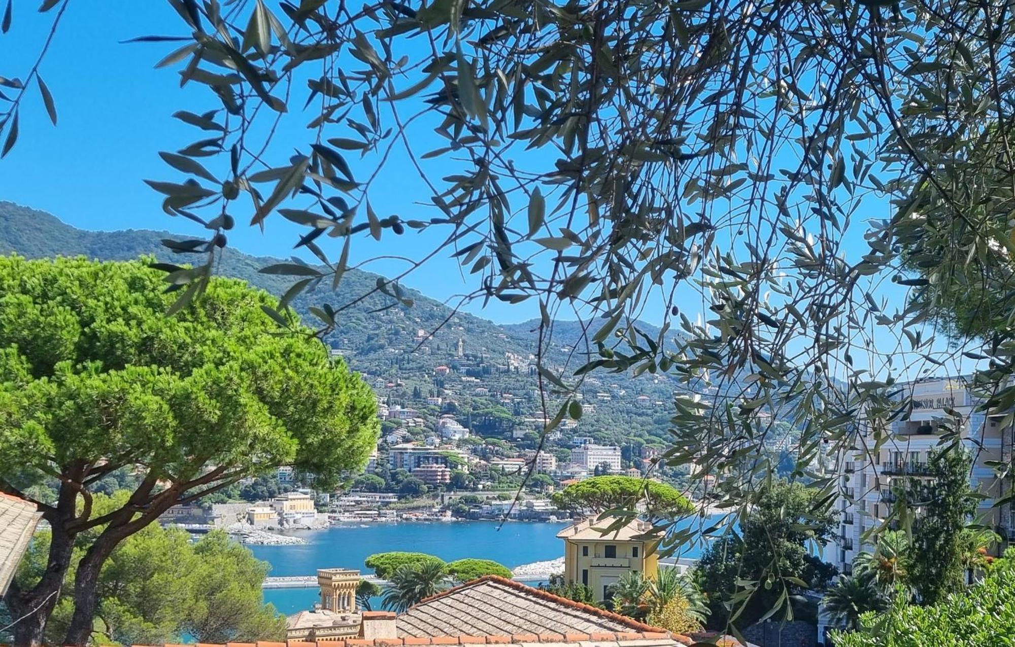 La Dolce Villa Ραπάλο Εξωτερικό φωτογραφία