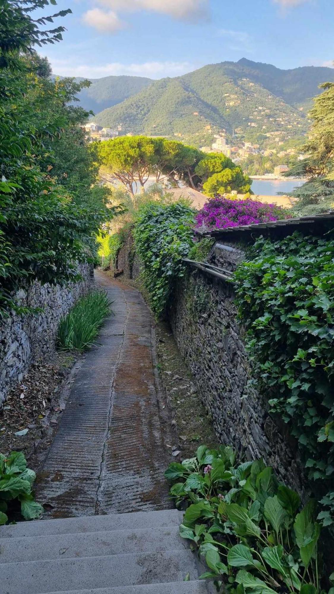 La Dolce Villa Ραπάλο Εξωτερικό φωτογραφία